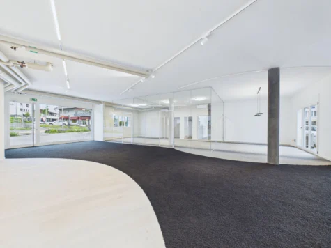 Moderne und vielseitige Gewerbefläche an Top-Lage im Herzen von Brüttisellen, 8306 Brüttisellen, Sonstige